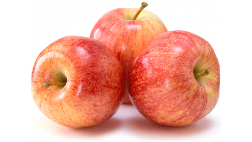 Global Seasons Fuji Apple